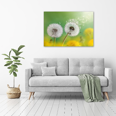 Canvas schilderij Paardenbloemen