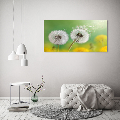 Canvas schilderij Paardenbloemen