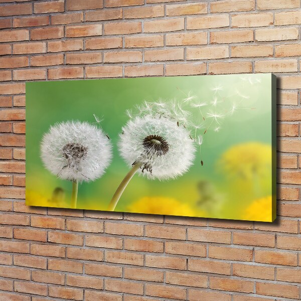 Canvas schilderij Paardenbloemen