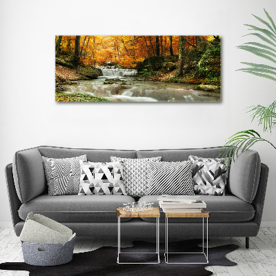Foto op canvas Waterval in het bos