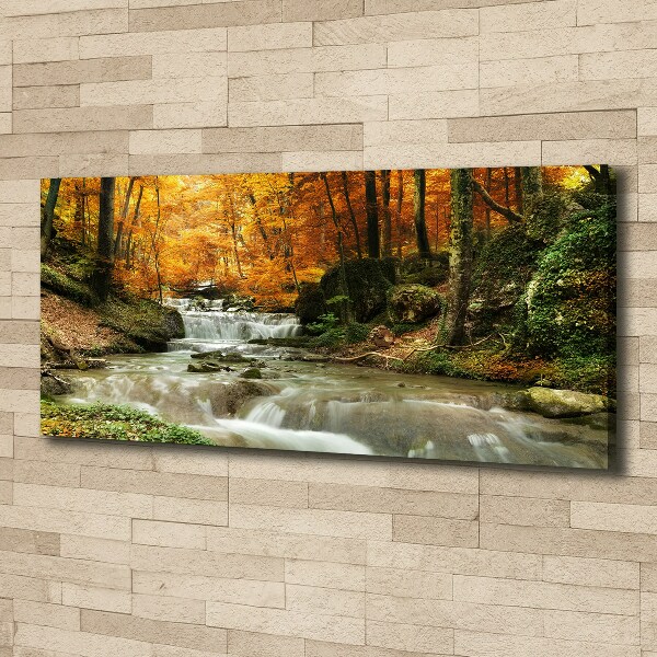 Foto op canvas Waterval in het bos