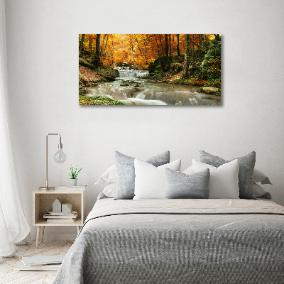 Foto op canvas Waterval in het bos