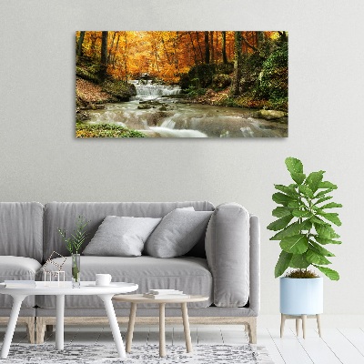 Foto op canvas Waterval in het bos