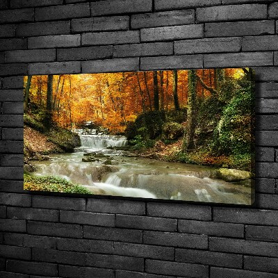 Foto op canvas Waterval in het bos