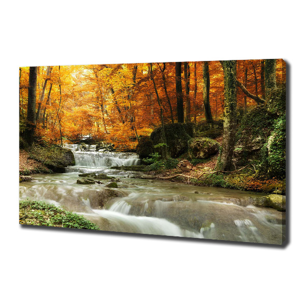 Foto op canvas Waterval in het bos