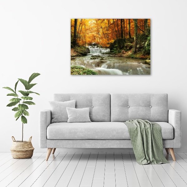 Foto op canvas Waterval in het bos
