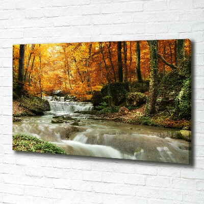 Foto op canvas Waterval in het bos