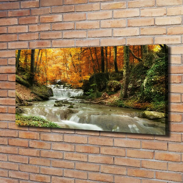 Foto op canvas Waterval in het bos