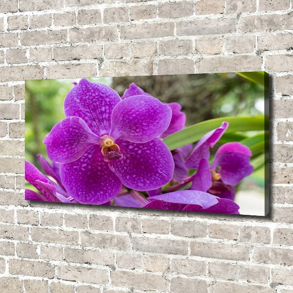 Schilderij op canvas Orchidee