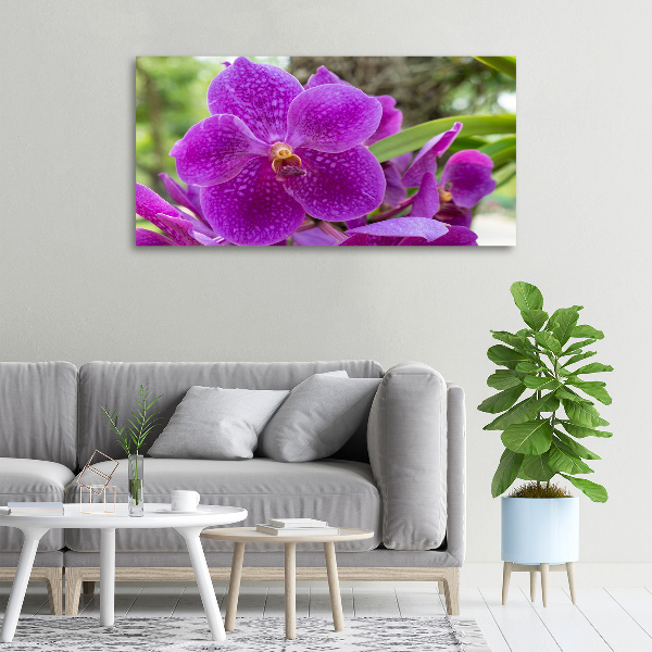 Schilderij op canvas Orchidee