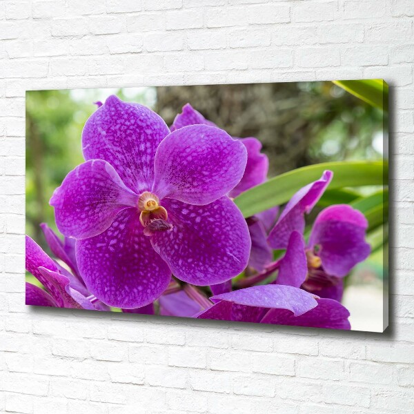Schilderij op canvas Orchidee