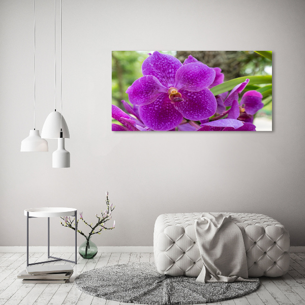 Schilderij op canvas Orchidee