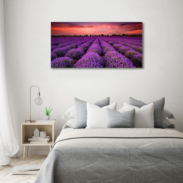 Foto canvas Lavendelveld
