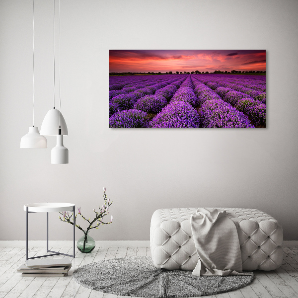 Foto canvas Lavendelveld