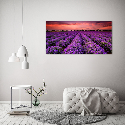 Foto canvas Lavendelveld