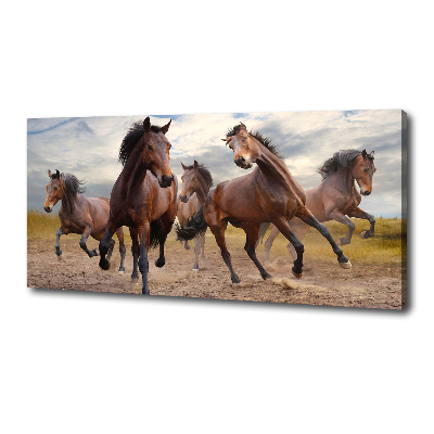 Canvas foto Vijf paarden