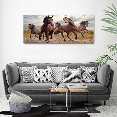 Canvas foto Vijf paarden