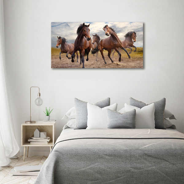 Canvas foto Vijf paarden