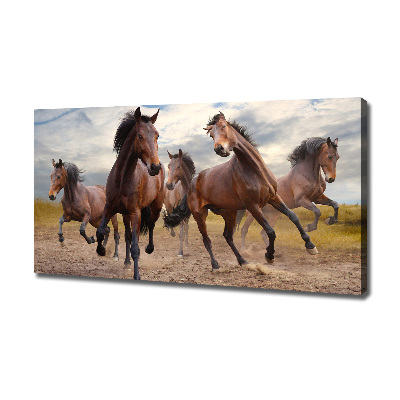 Canvas foto Vijf paarden