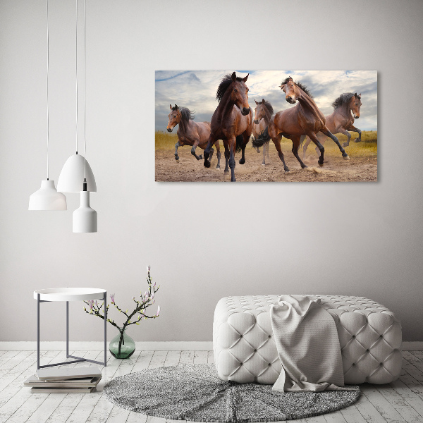 Canvas foto Vijf paarden