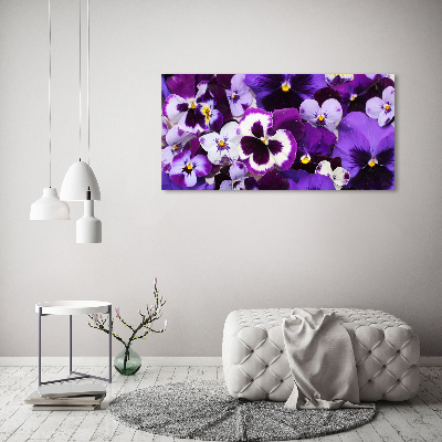 Foto op canvas Viooltjes