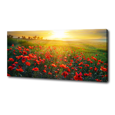 Canvas foto Klaprozenveld