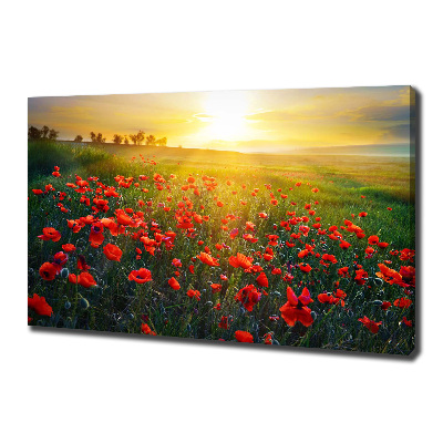 Canvas foto Klaprozenveld