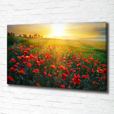 Canvas foto Klaprozenveld