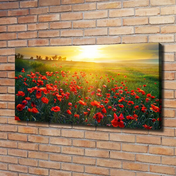 Canvas foto Klaprozenveld