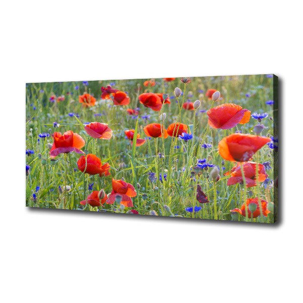 Foto canvas Wilde bloemen