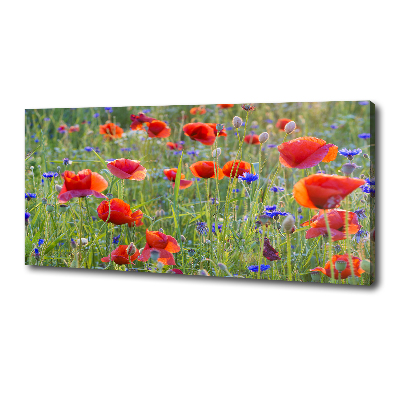 Foto canvas Wilde bloemen