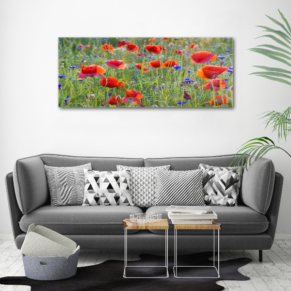Foto canvas Wilde bloemen