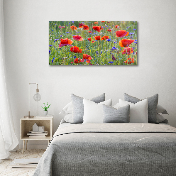 Foto canvas Wilde bloemen