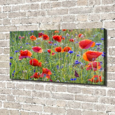Foto canvas Wilde bloemen