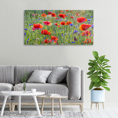 Foto canvas Wilde bloemen