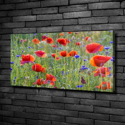 Foto canvas Wilde bloemen