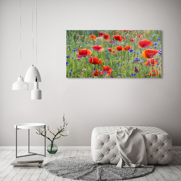 Foto canvas Wilde bloemen