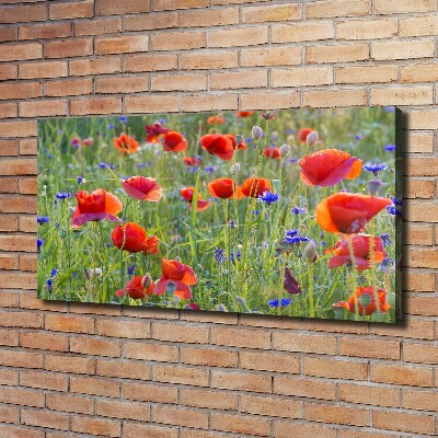 Foto canvas Wilde bloemen