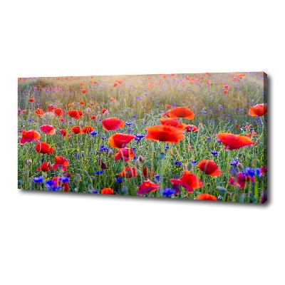Foto op canvas Wilde bloemen