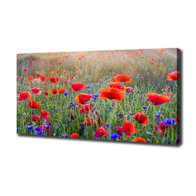 Foto op canvas Wilde bloemen