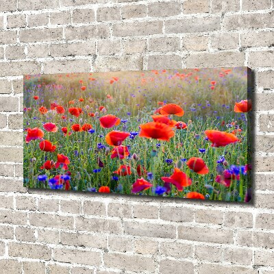 Foto op canvas Wilde bloemen