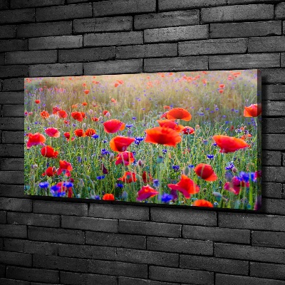 Foto op canvas Wilde bloemen