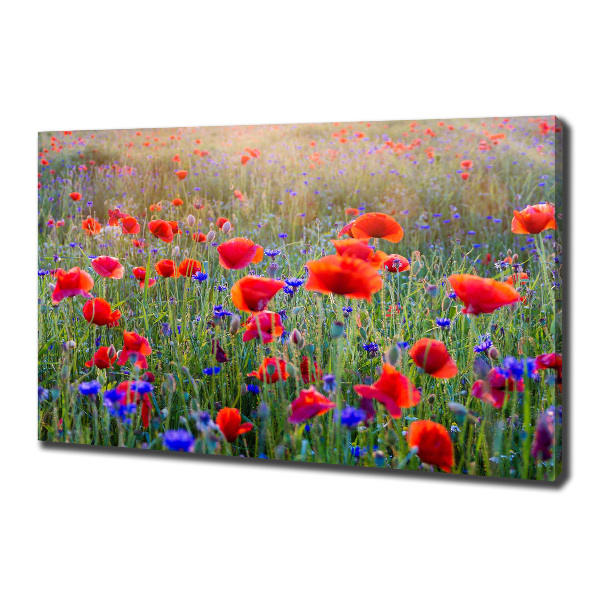 Foto op canvas Wilde bloemen