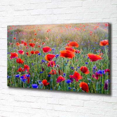Foto op canvas Wilde bloemen