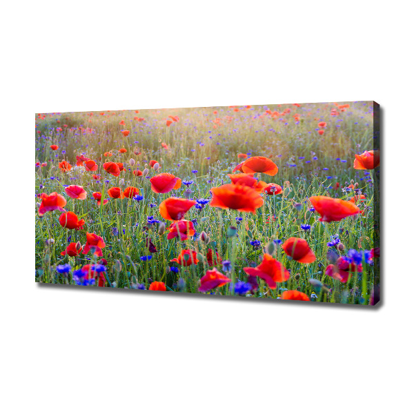 Foto op canvas Wilde bloemen