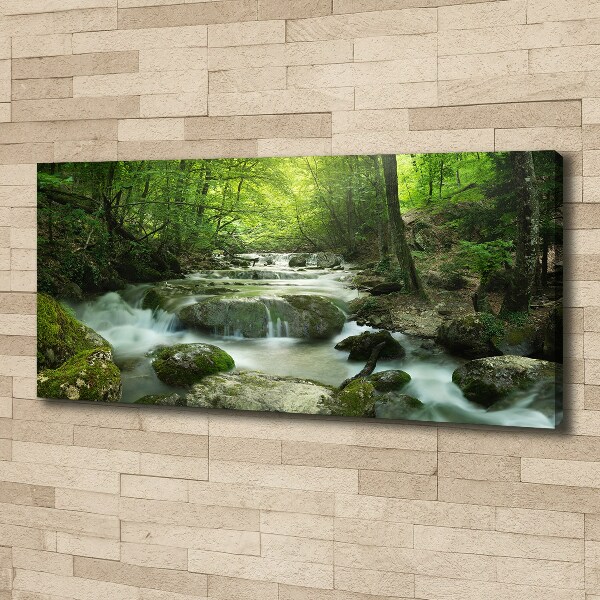 Foto canvas Waterval in het bos