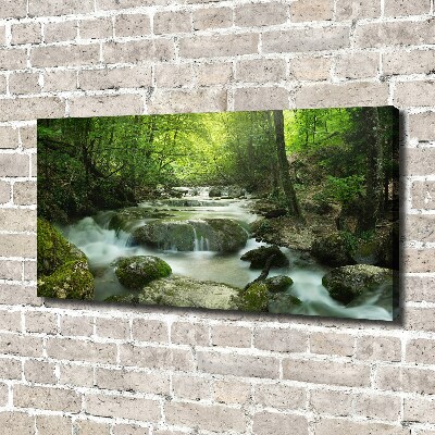 Foto canvas Waterval in het bos