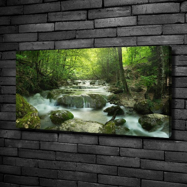 Foto canvas Waterval in het bos