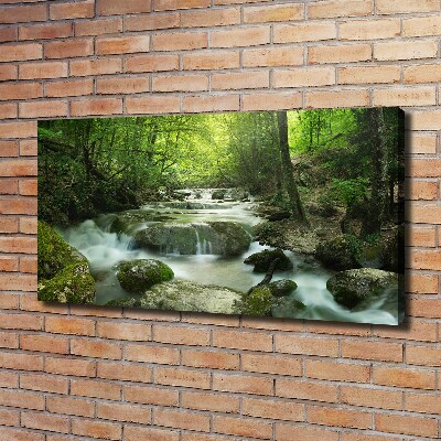 Foto canvas Waterval in het bos