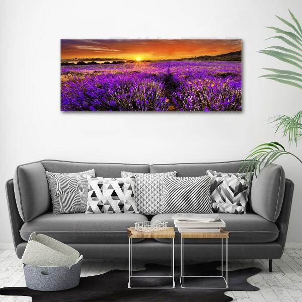 Foto canvas Lavendelveld